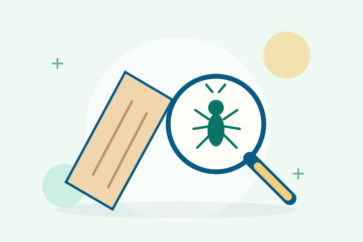 Inspection des bois et recherche de termites